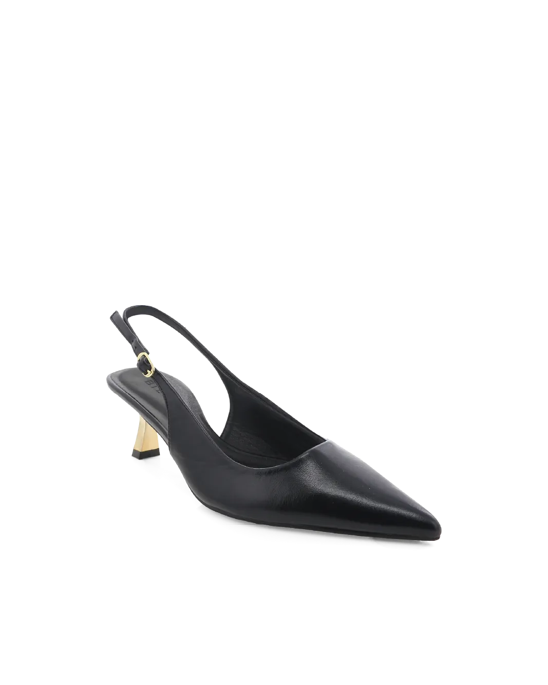Anaya - Black Shine - Gold