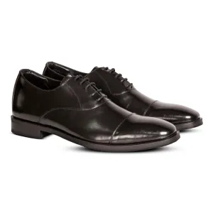 Damian Oxford Black