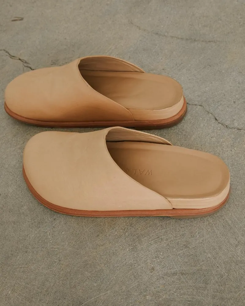 Odgen in Camel