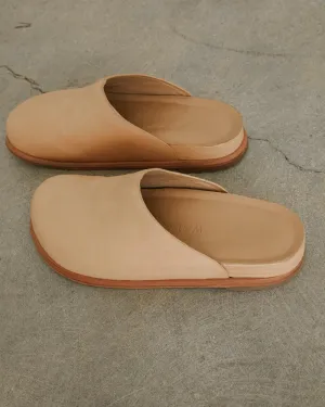 Odgen in Camel