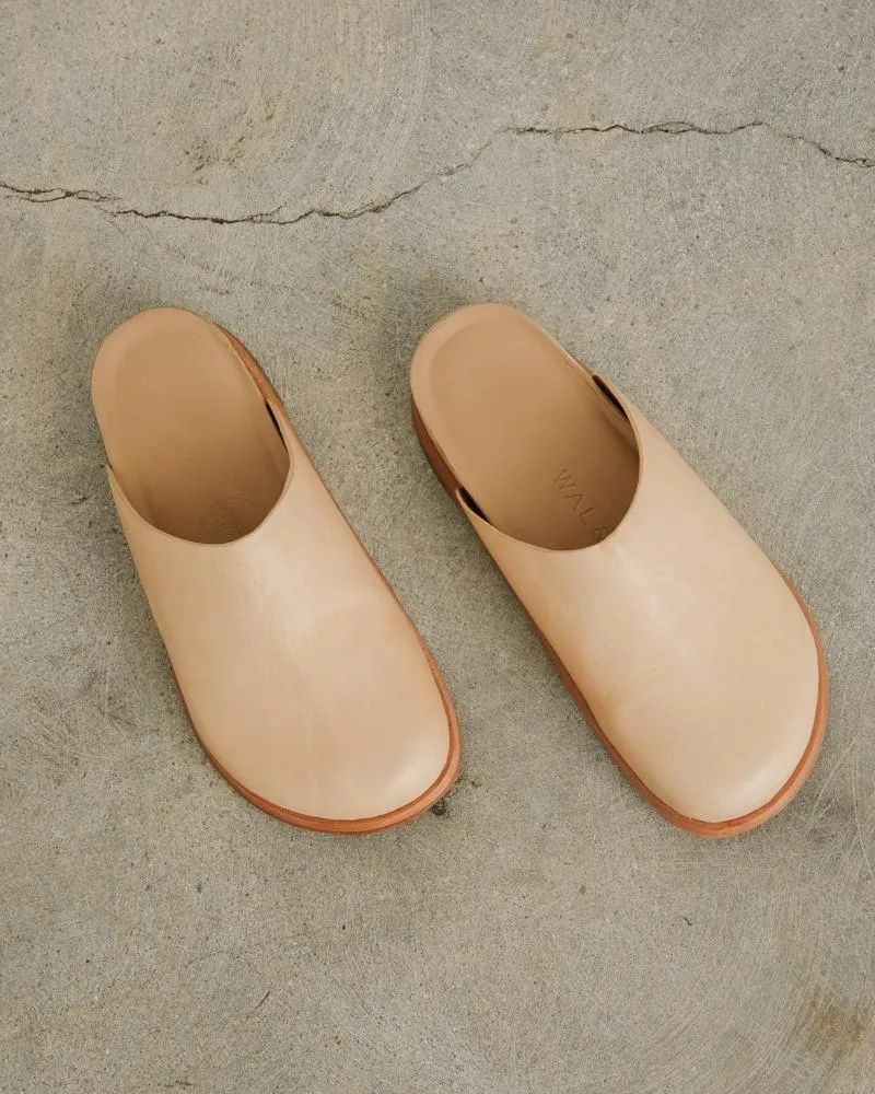Odgen in Camel