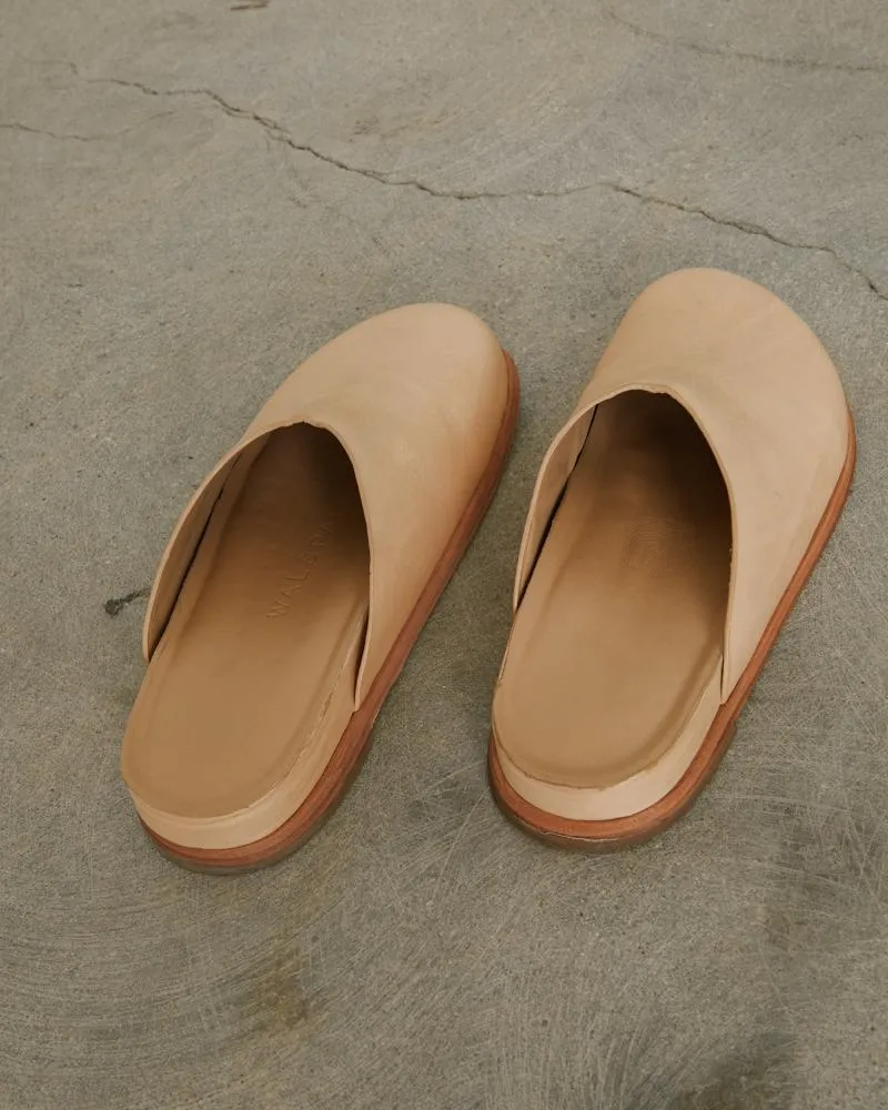 Odgen in Camel