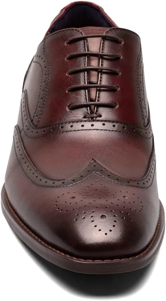 Stacy Adams Men's, Kaine Wingtip Oxford