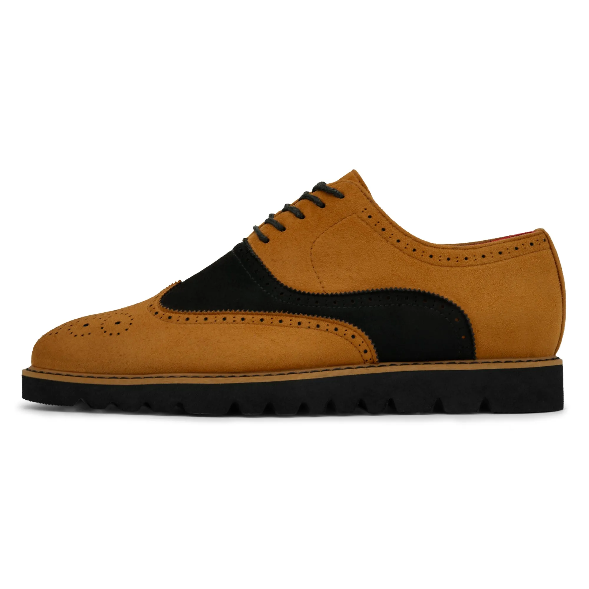The Paragon TAYNO Suede Lace Up Wingtip Oxford Sneaker